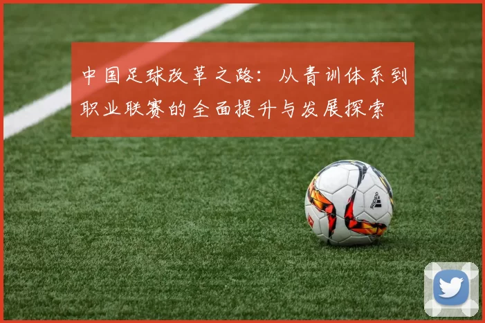 中国足球改革之路：从青训体系到职业联赛的全面提升与发展探索